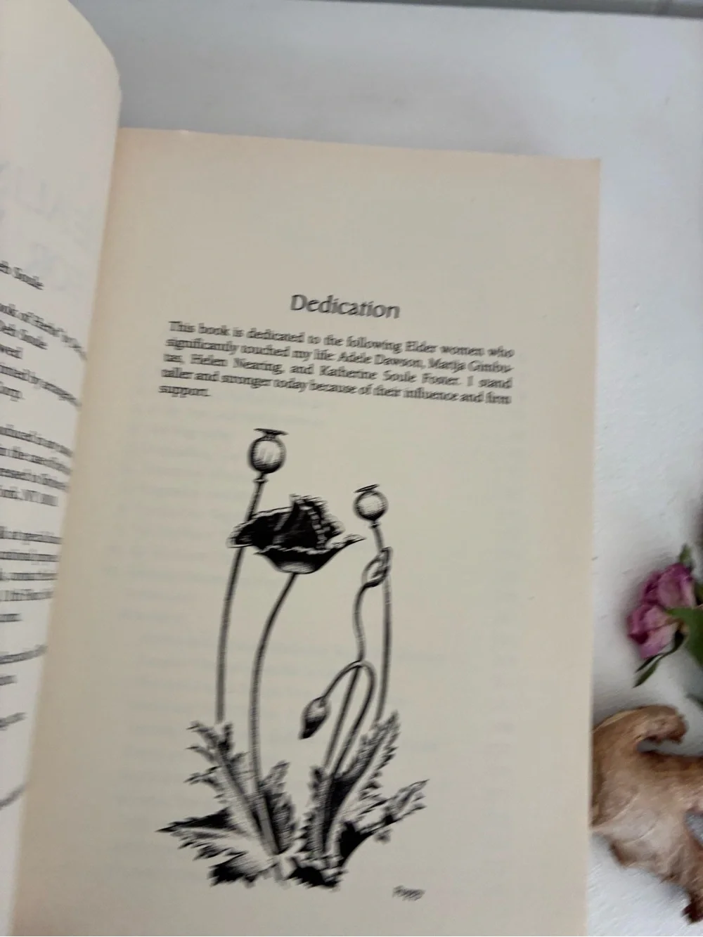 Healing Herbs for Women by Deb Soule — Natural Remedies Book (Multicolor)